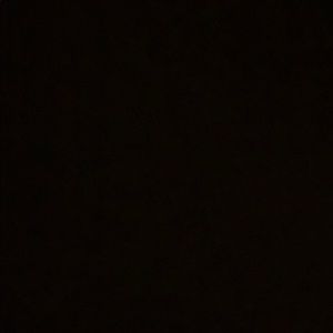 Everything MUST Go!!! 🤩⭐️